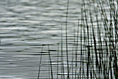 Another One OnThe River.JPG