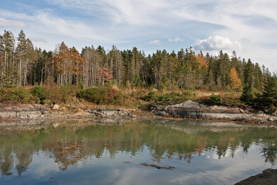 Maine island autumn