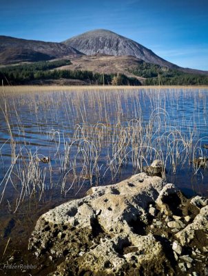 Red Cuillin in the Reeds