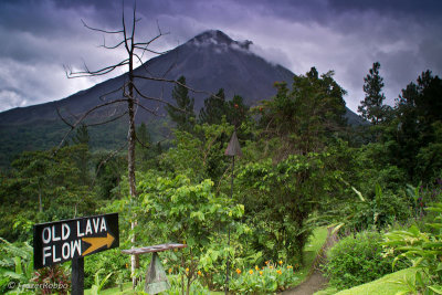 The Old Lava Trail