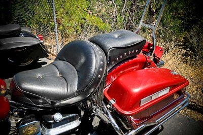 DSC_9892.jpg