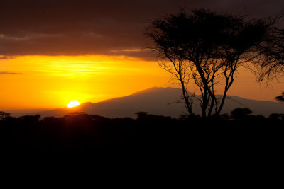 tanzania landscape, ndutu (_MG_4416 - 20090125).jpg