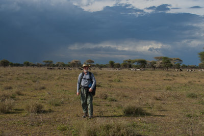 tanzania ndutu, trip (_MG_4260 - 20090123).jpg