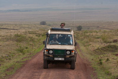 tanzania ngorongoro, trip (_MG_4652 - 20090125).jpg