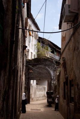 tanzania zanzibar (_MG_4779 - 20090129).jpg