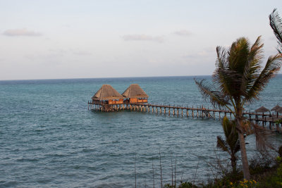tanzania zanzibar (_MG_4781 - 20090130).jpg