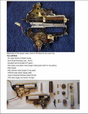 m10.gif