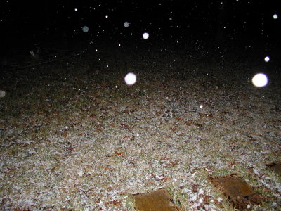 Snow In East Texas