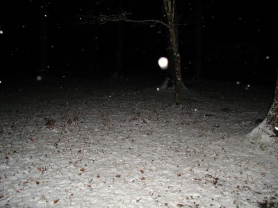 Snow 12-09-08 11.JPG