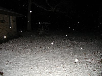 Snow 12-09-08 13.JPG