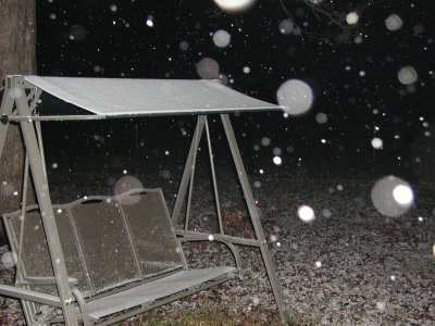 Snow 12-09-08 5.JPG