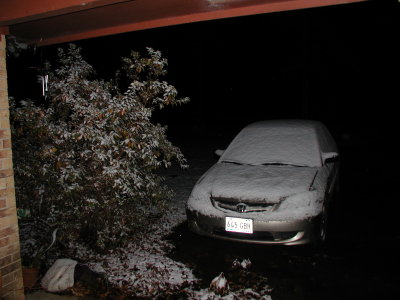 Snow 12-09-08 8.JPG