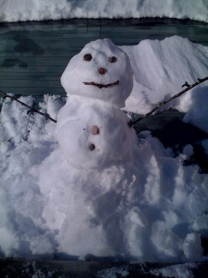 Snowman 5.jpg