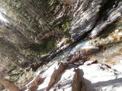 P9040177.JPG