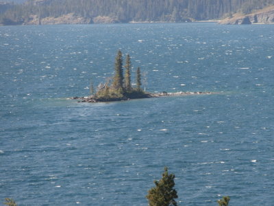 Wild Goose Island
