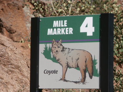 Pikes Peak Mile Marker 4
