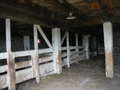 P5240882.JPG