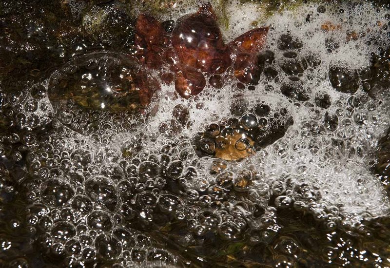Bubbles in the Stream of Life