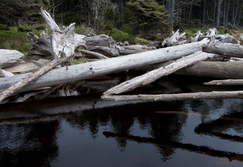 Small Stream Entering Ocean at Rialto Beach