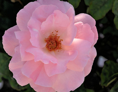 DSC_0056_edited-1.jpg