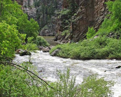 Curecanti Creek at it's end flowing into the Gunnison River