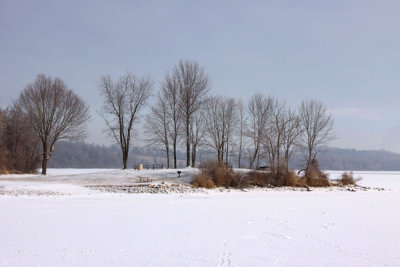 Marsh Creek in Winter