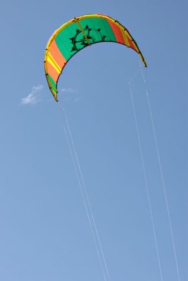 Kite (447)