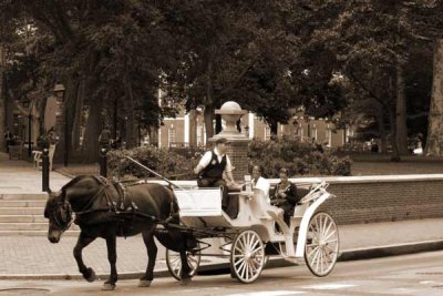Carriage Ride Off Washington Square