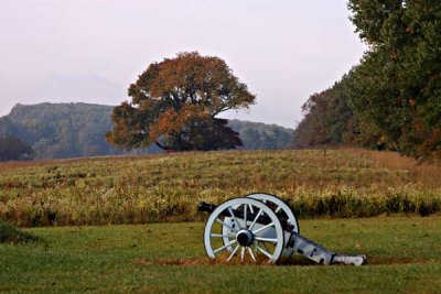 Valley Forge (4)