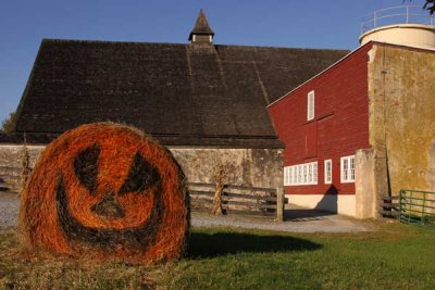 County Parks  October 2010