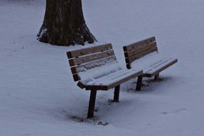 Lonely Winter Benches