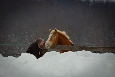 Marsh Creek Horse Whisperer