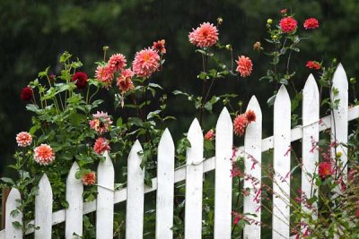 Rainfall Watering Fencepost Flowers