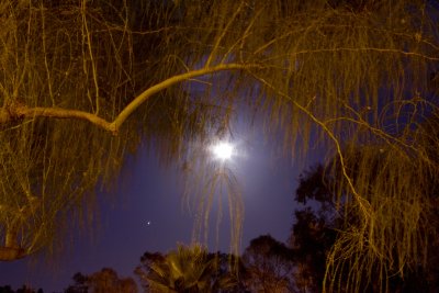 Full Moon Night August 5, 2009