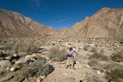 026  Anza-Borrego: Dee near start of trail to Palm Canyon_0214Acr`0802061016.jpg