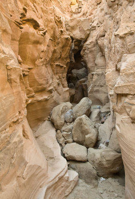 042  View up an alcove_0760Ps`0802071151.jpg
