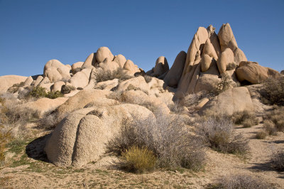 054  Joshua Tree: Rocks on Jumbo Rocks nature trail_0947Acr`0802090937.jpg