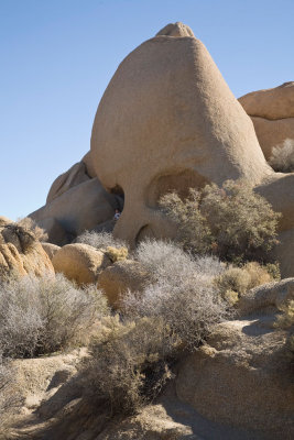 055  Skull rock_0972Acr`0802091037.jpg