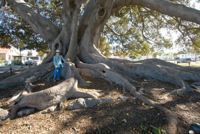 065  Dee and Santa Barbara fig tree roots_0390Acr`0802101339.jpg