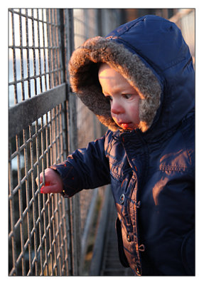 Elliot looking at sunset holding railings 2.jpg