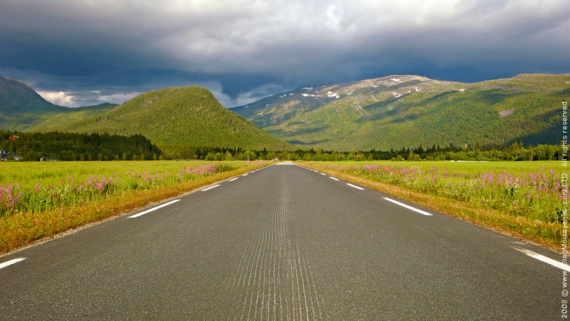 Road at Svartisen National Park