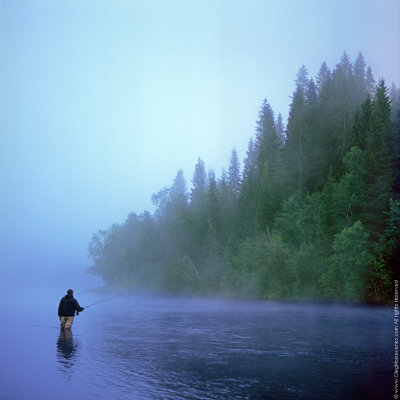 The Early Morning Fishing
