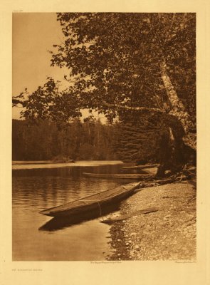 On Quinault River