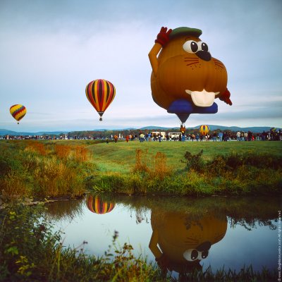 Beaver's Balloon and His Pond