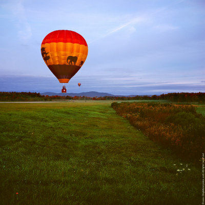 Misty Morning Balloon