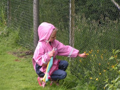 g1/98/356598/3/97173863.IzhTEIef.jpg