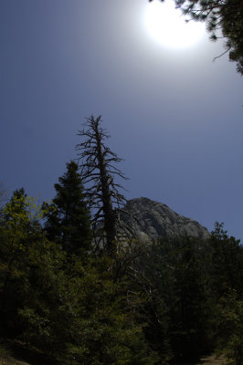 Idyllwild  - 2008