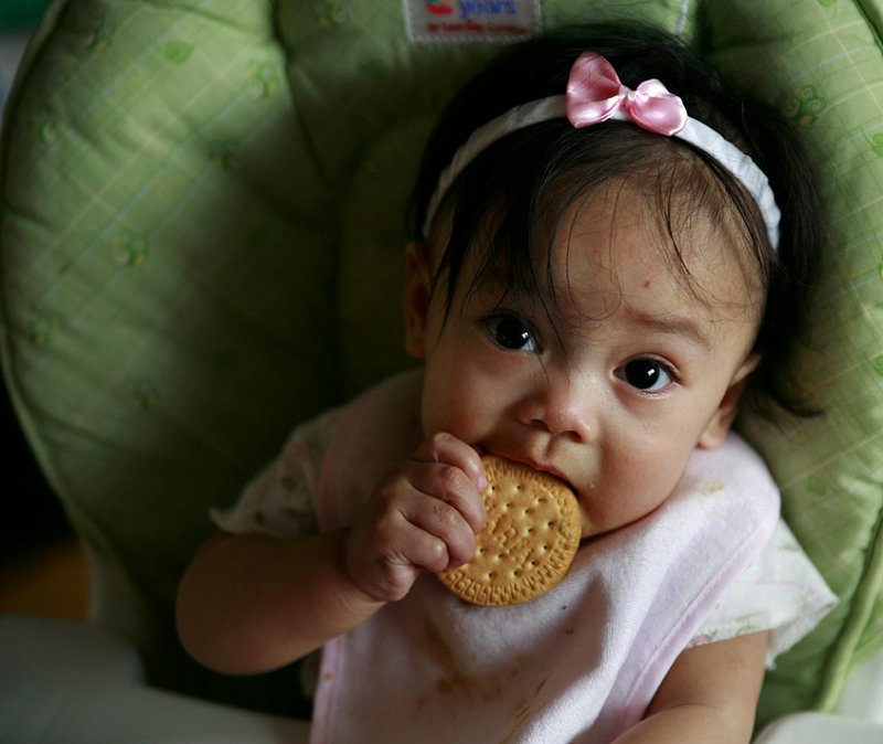 Cookie Monster
