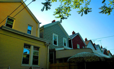 Houses Grow In Queens