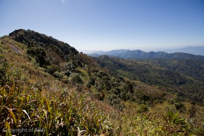 IMG_9901.jpg